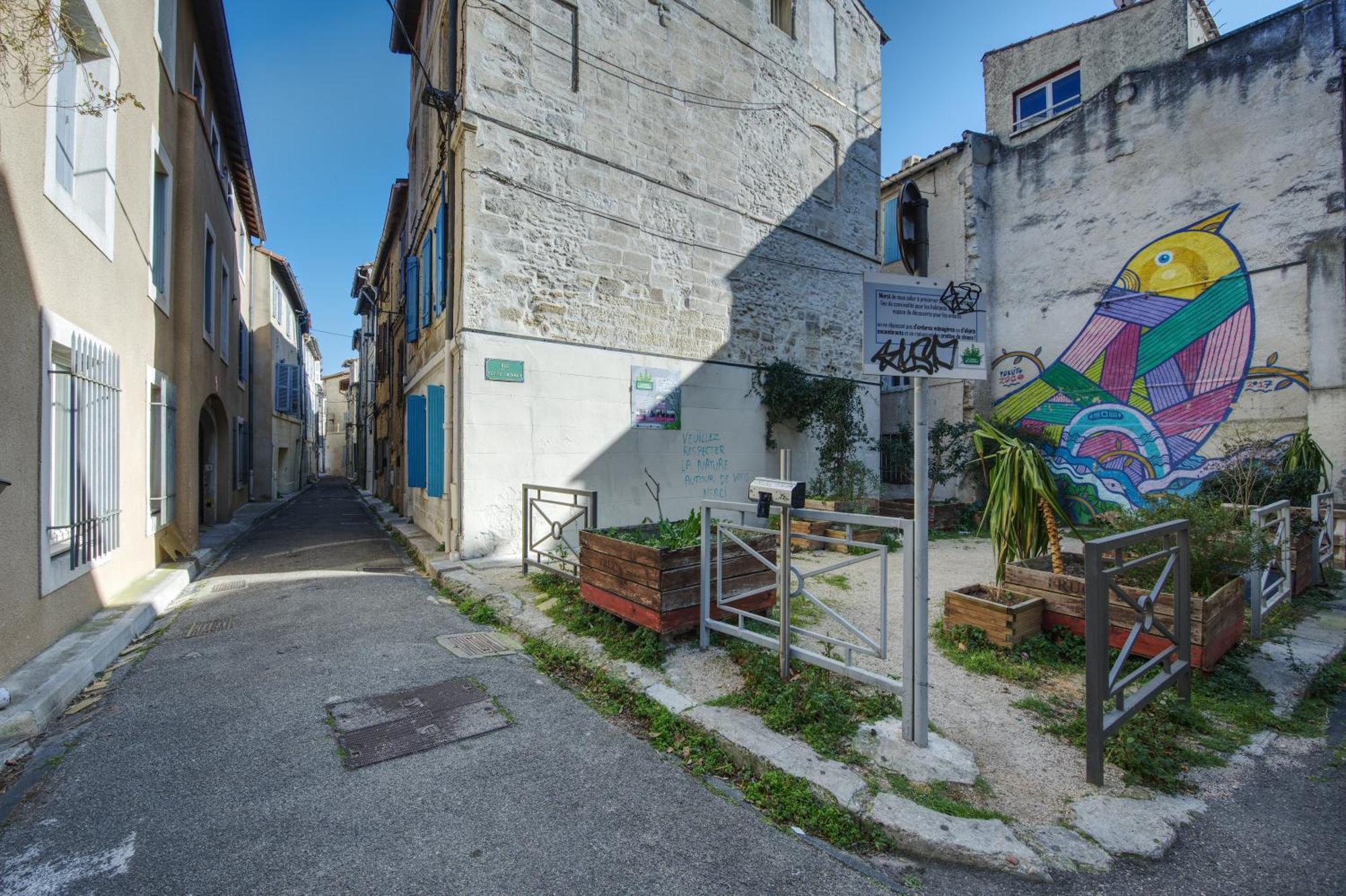 Appartement Cosy Avignon Centre-Ville Exterior foto